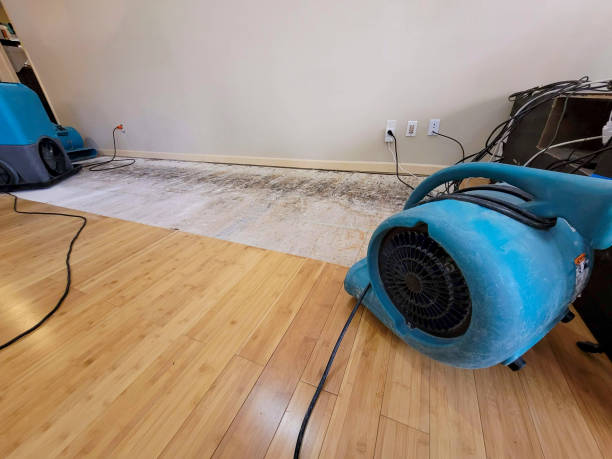 Professional Water Extraction technician working in Taunton, MA